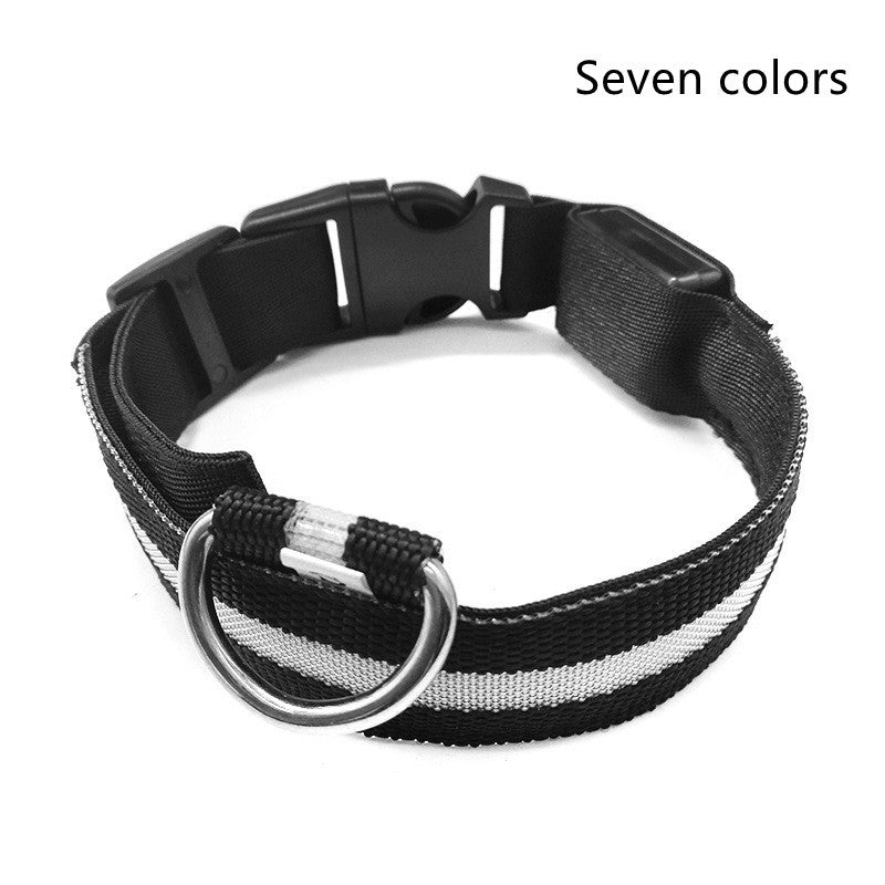 Adjustable Nylon LED Pet Collar & Leash - Glow in the Dark Safety Set