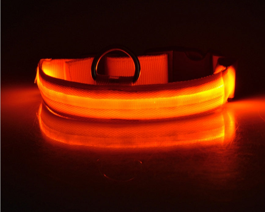 Adjustable Nylon LED Pet Collar & Leash - Glow in the Dark Safety Set