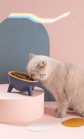 Cat & Dog Feeding Bowl with Stand - Nordic Color Pet Feeder