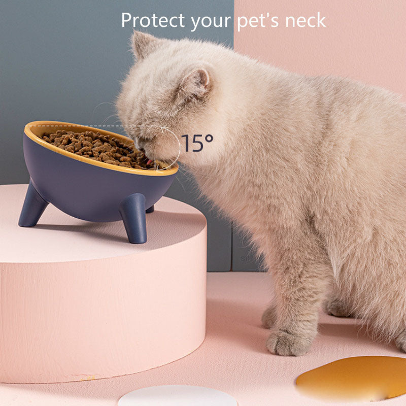 Cat & Dog Feeding Bowl with Stand - Nordic Color Pet Feeder