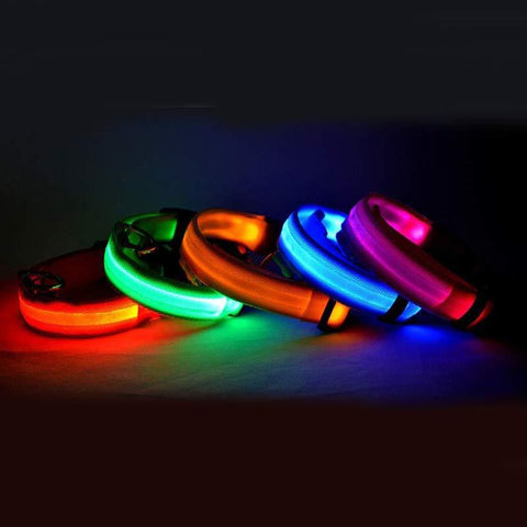 Adjustable Nylon LED Pet Collar & Leash - Glow in the Dark Safety Set