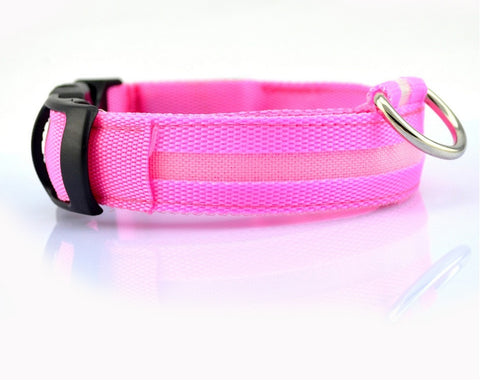 Adjustable Nylon LED Pet Collar & Leash - Glow in the Dark Safety Set