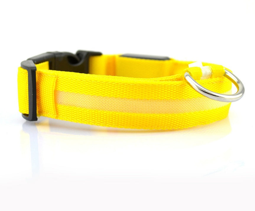 Adjustable Nylon LED Pet Collar & Leash - Glow in the Dark Safety Set