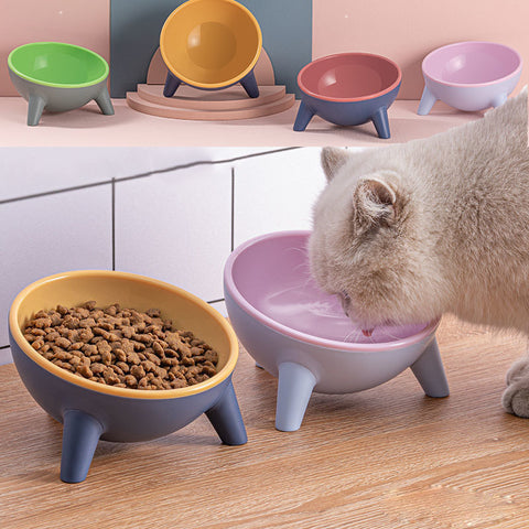 Cat & Dog Feeding Bowl with Stand - Nordic Color Pet Feeder