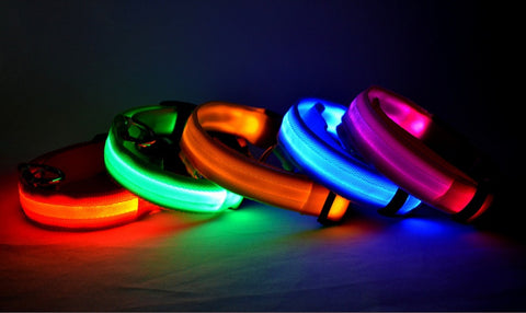 Adjustable Nylon LED Pet Collar & Leash - Glow in the Dark Safety Set