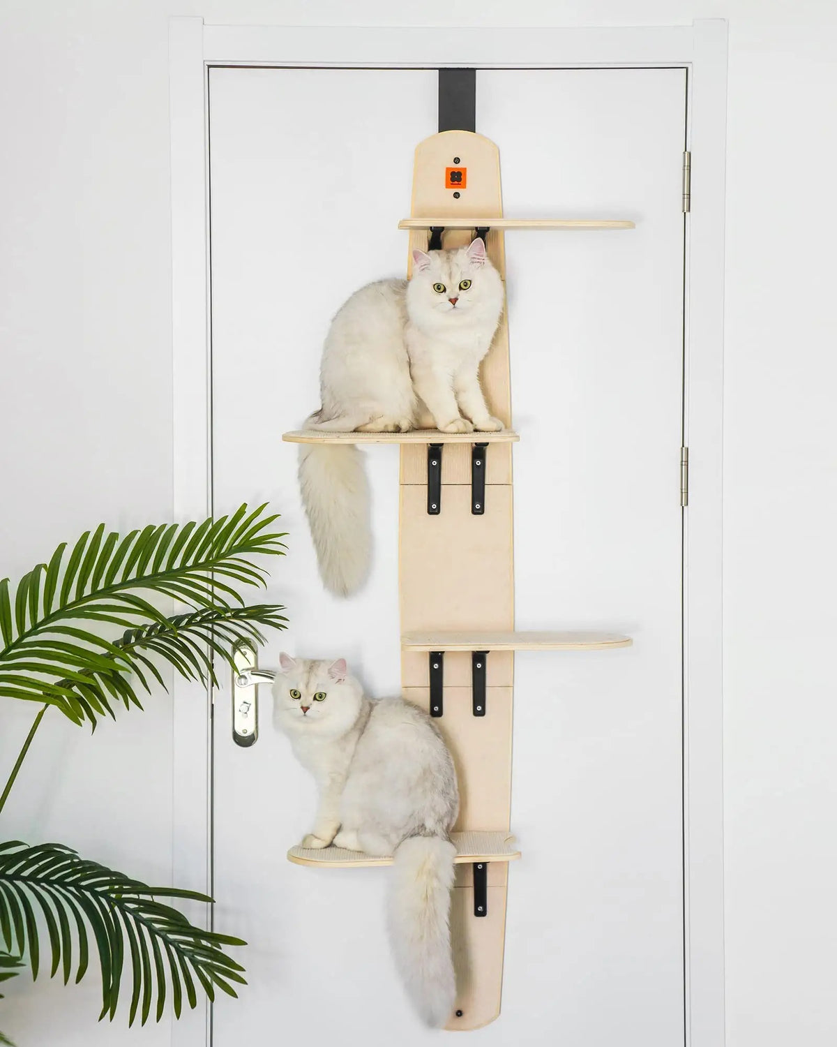 Mewoofun 4-Levels Versatile Cat Climber Shelves Door Mounted Vertical