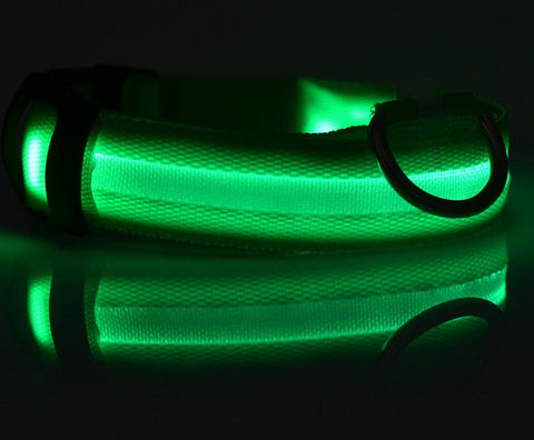 Adjustable Nylon LED Pet Collar & Leash - Glow in the Dark Safety Set