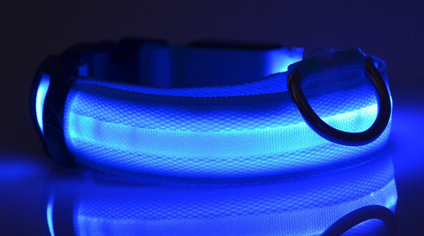 Adjustable Nylon LED Pet Collar & Leash - Glow in the Dark Safety Set