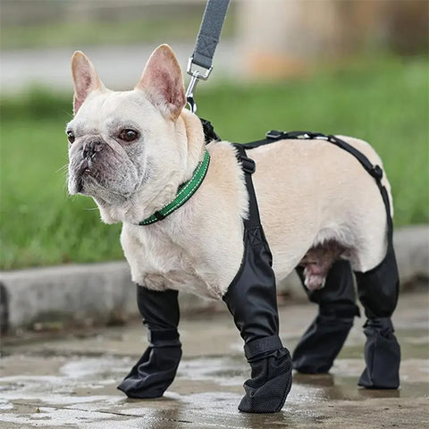 Adjustable Waterproof Dog Boots - Breathable Outdoor Shoes for Paws Protection