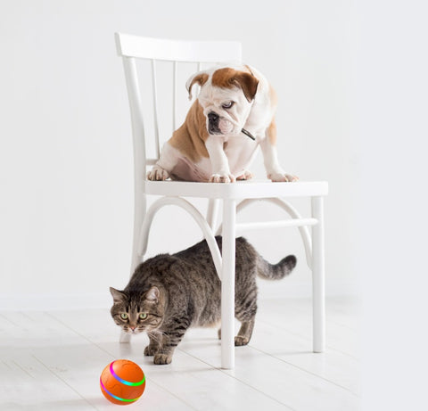 Intelligent Self-Rotating Cat Ball Toy - USB Rechargeable Interactive Fun